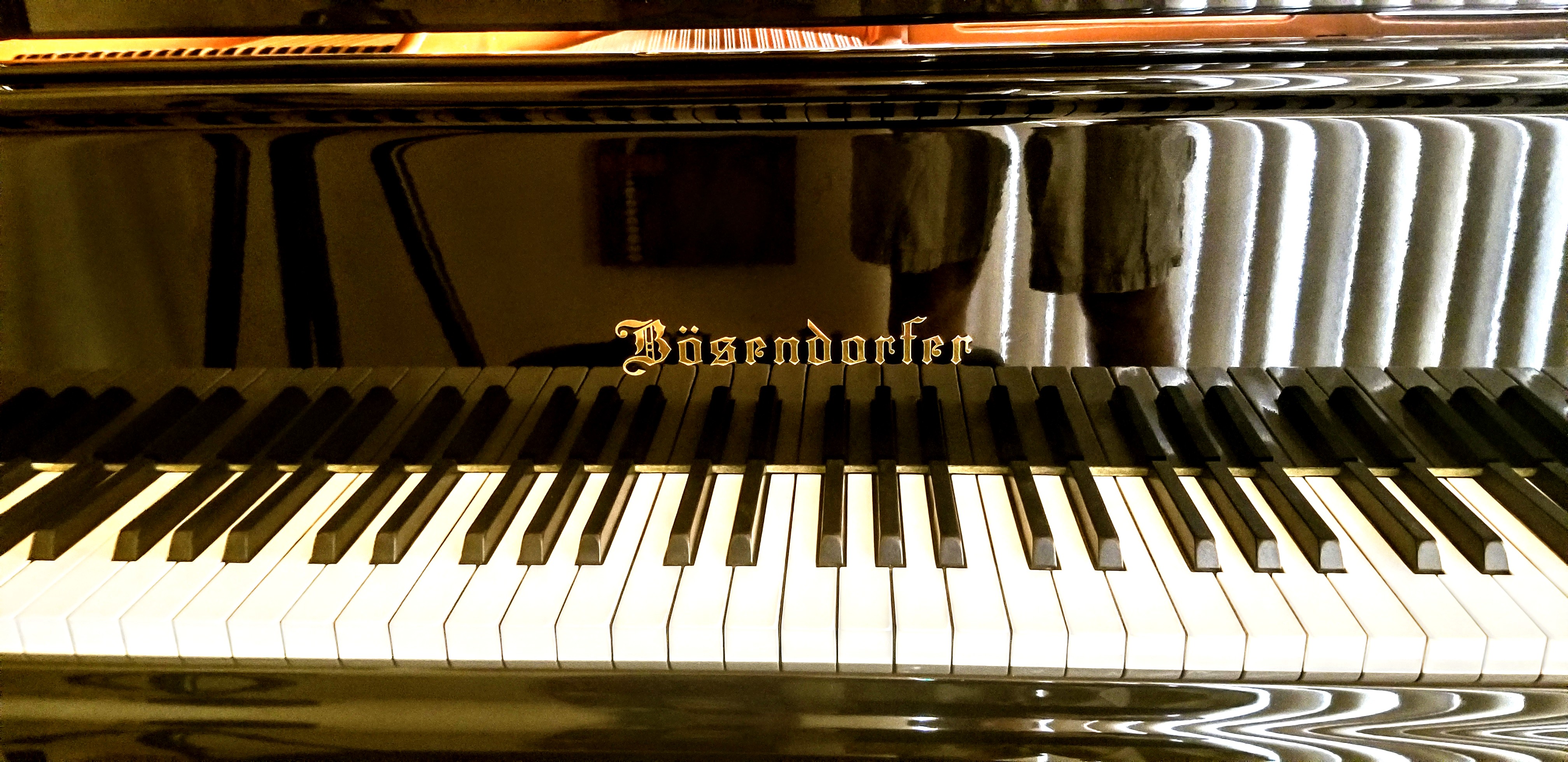 Max's Bosendorfer